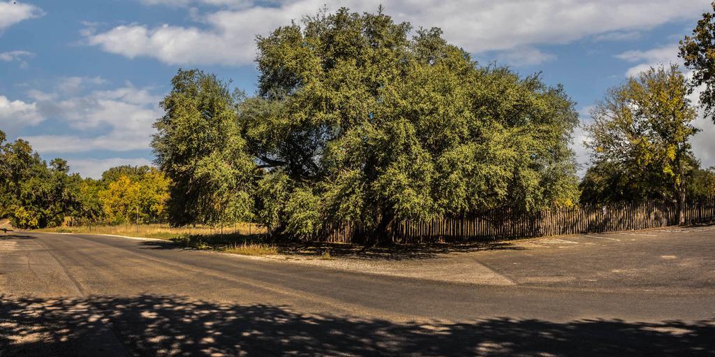Cypress Fairway Village Wimberley Exteriör bild